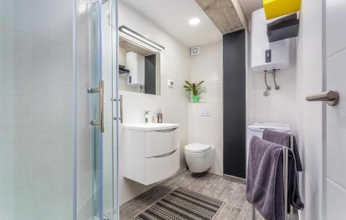 波雷奇Orion apartment的带淋浴、卫生间和盥洗盆的浴室