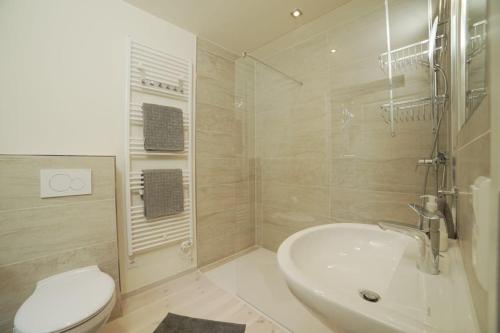 萨斯尼茨Bienenhaus的白色的浴室设有水槽和卫生间。