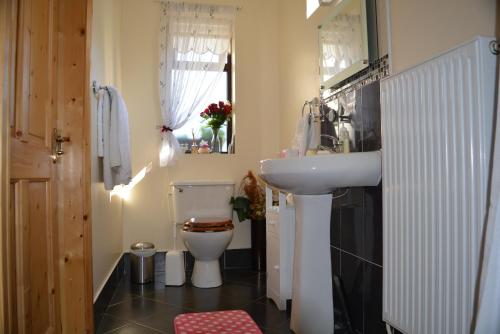 达罗Weir view Bed and Breakfast的浴室配有白色水槽和卫生间。