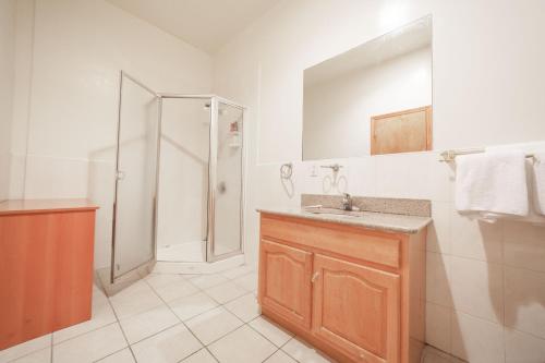 纽约美国太平洋旅舍的一间带水槽和淋浴的浴室