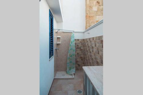 莱乌卡Stella del Mare的带淋浴和浴帘的浴室