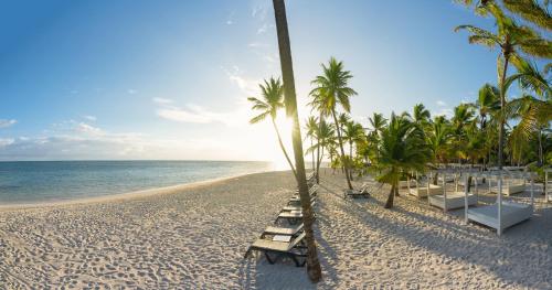 蓬塔卡纳蓬塔卡纳加泰罗尼亚全包酒店的海滩上,有椅子和棕榈树,还有大海