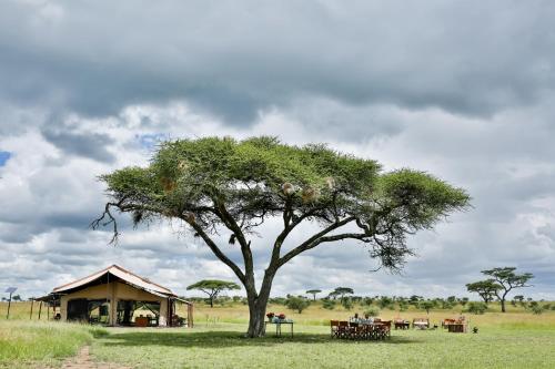 巴纳吉Pumzika Luxury Safari Camp的相册照片