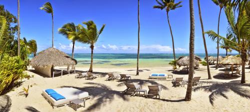 蓬塔卡纳加泰罗尼亚皇家巴瓦罗酒店 - 全包 - 仅限成人的海滩上,有椅子和棕榈树,还有大海