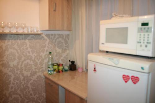 奥尔什丁Apartament z baldachimem i pięknym widokiem Olsztyna的厨房配有冰箱上方的微波炉