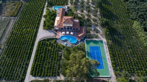 伊奥斯克里克斯Aneli Luxury Villas-Villa Anastasia的享有农场空中景色,设有房屋和游泳池