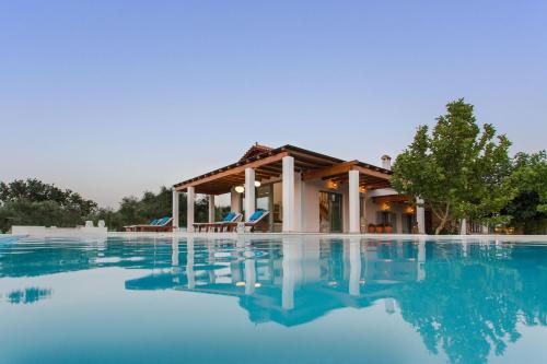 伊奥斯克里克斯Aneli Luxury Villas-Villa Elissavet的别墅前方设有游泳池