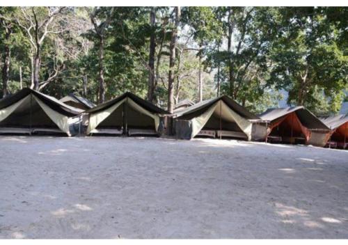 ShivpuriUbud Riverside Camps的一群在林地的停车场的帐篷