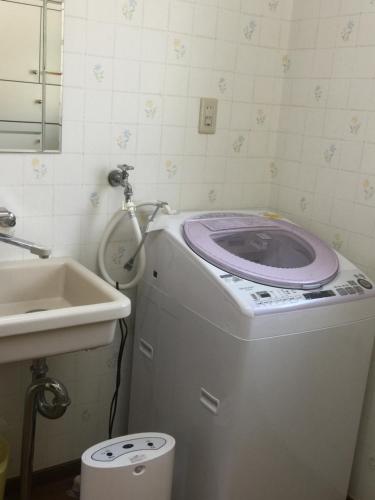 Takeda福国楼旅馆的一间带水槽和洗衣机的浴室