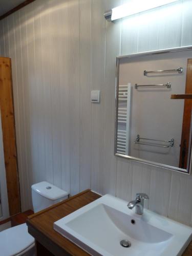 瓦尔代布洛尔Chalet Le Bois Noir的一间带水槽、镜子和卫生间的浴室