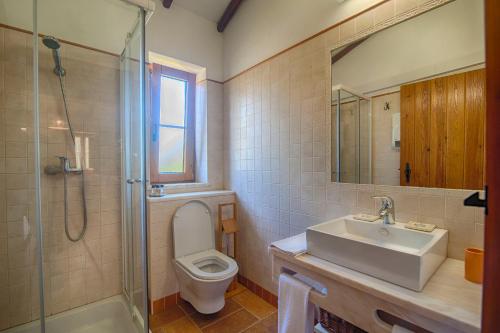 赞布热拉-杜马尔蒙大格夏酒店的浴室配有卫生间、盥洗盆和淋浴。