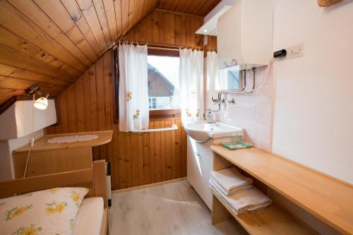博希尼佩科维博西尼客房民宿的一间带水槽和水槽的小浴室