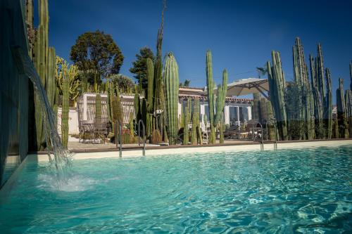 莫斯村Garden Cactus的后方有仙人掌的水池