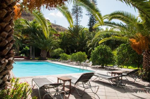 阿格特拉斯隆格拉斯乡村酒店的一个带椅子的游泳池,棕榈树