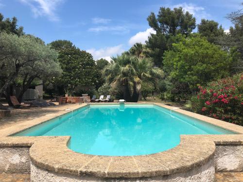拉西约塔Du Coté de Chez Soi的花园内的游泳池