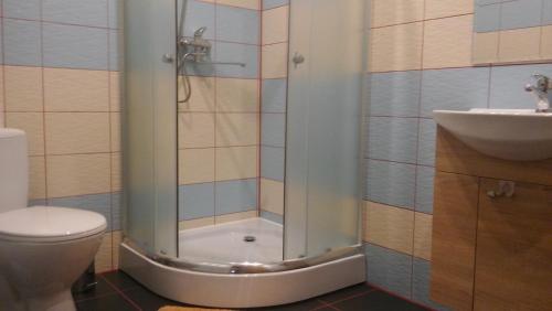 雷泽克内Centra House的带淋浴、卫生间和盥洗盆的浴室