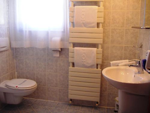 马丁斯契卡Hotel Zlatni Lav的一间带卫生间和水槽的浴室
