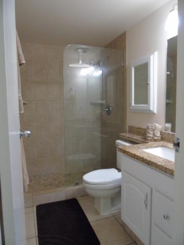 基黑Aloha KAI - Resort Condo的带淋浴、卫生间和盥洗盆的浴室