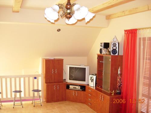 Zgornja SoricaHouse of relaxation的一间带电视和吊灯的客厅