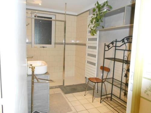 克卢尼Villa Agapenthe的带淋浴、椅子和水槽的浴室