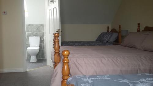 戈尔韦Cloonboo Lodge on Wild Atlantic Way Sleeps 12的一间卧室配有一张床和一个卫生间