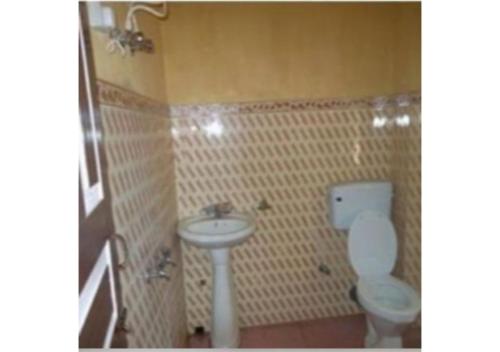 西姆拉Hotel Pankaj的一间带卫生间和水槽的浴室