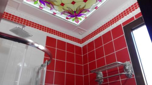 Bruchim Qela' AlonDomskazka的红色瓷砖浴室设有窗户和镜子