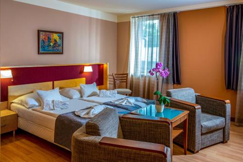 Dráva Hotel Thermal Resort客房内的一张或多张床位