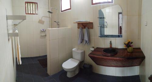 LagudriNew Raya - Nias Beach Bungalows的一间带卫生间和水槽的浴室