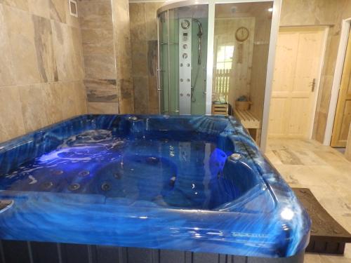 弗雷斯塔帕若德霍斯特Country House Zdenko s wellness的按摩浴缸位于客房中间