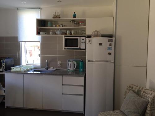皮里亚波利斯Descanso en Piriápolis的厨房配有白色冰箱和微波炉