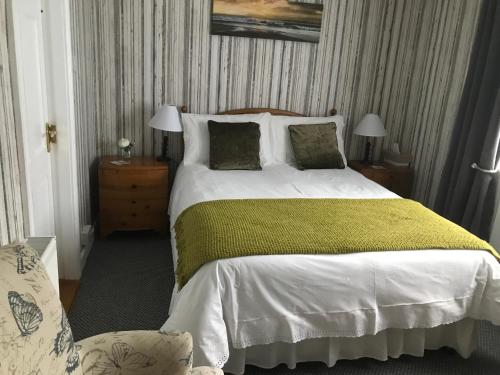 Mountmellick巴罗河景住宿加早餐旅馆的一间卧室配有一张带绿毯的大床