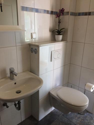 „Lüttje Nüst“的一间浴室