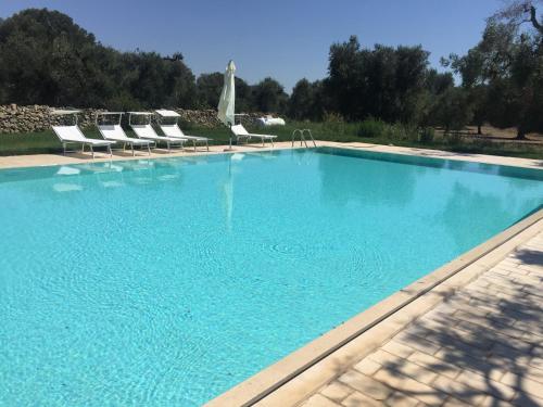 韦列agricampeggio GLAMPING MARCONI的一个带椅子和树木的大型蓝色游泳池