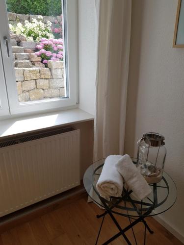 拉芬斯堡Business Apartment Ravensburg - sonnig, zentral & ruhig的窗户旁的玻璃桌,上面有毛巾