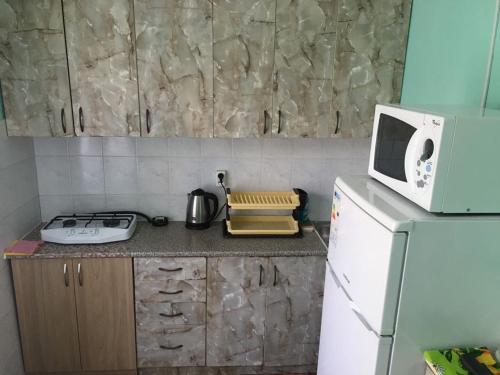 扎托卡Kvartira v Zatoke的一间带微波炉和冰箱的小厨房