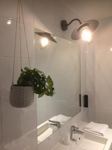 卡茨休维尔GuestHouse Hotel Kaatsheuvel-Waalwijk的浴室设有水槽、镜子和盆栽植物