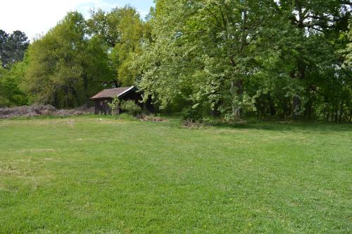 Cabane en forêt外面的花园