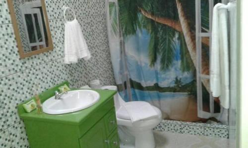 别霍港Cabinas Hukats Secret Jungle的一间带绿色水槽和卫生间的浴室