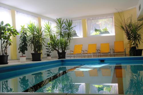 纳图尔诺拉姆酒店的一个带椅子和植物的游泳池