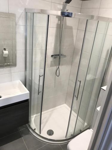 雷丁Berkshire Serviced Apartment Helena 12的浴室里设有玻璃门淋浴