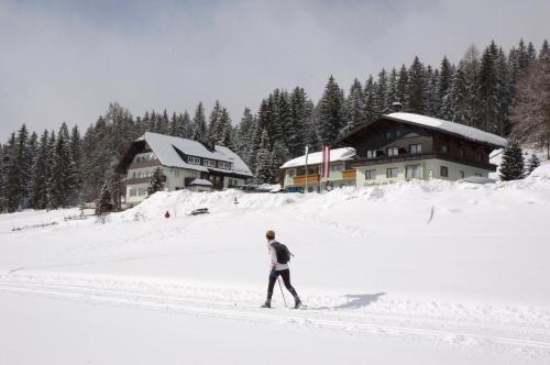 拉姆绍达赫斯坦Hotel Tischlbergerhof的一个人在房子前面的雪中滑雪