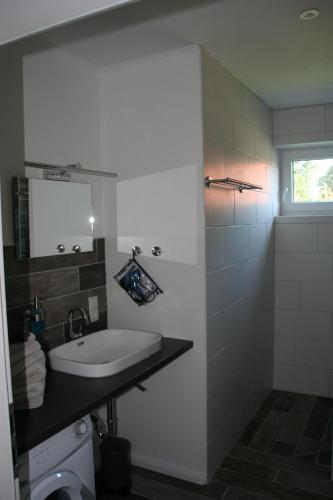 OberlangenHolunder Hüsken的一间带水槽和卫生间的浴室