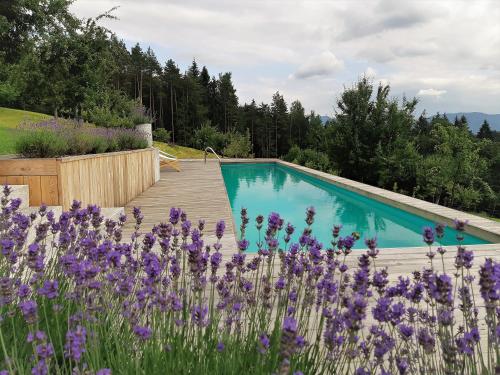 PolzelaLavender Hill, Eko Resort & Wellness的紫色花卉花园中的游泳池
