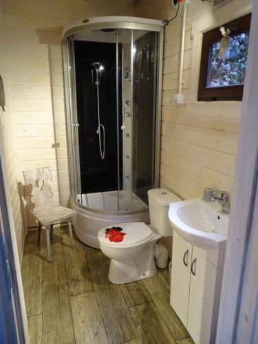 奥索瓦Wysockie Zacisze的浴室配有卫生间、淋浴和盥洗盆。
