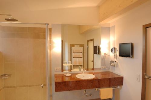 福森盖格酒店的一间带水槽和淋浴的浴室