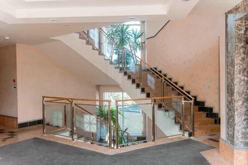 克列缅丘格Optima Kremenchuk的植物建筑中的螺旋楼梯