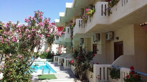 普拉坦斯Hotel Elida的一座带游泳池、树木和鲜花的建筑