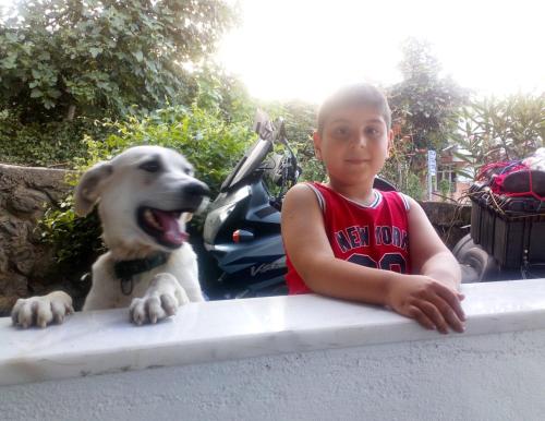 BalçıklıEkolojik Güney Köy Pembe Köşk的一只小男孩和一只狗看着一个领带