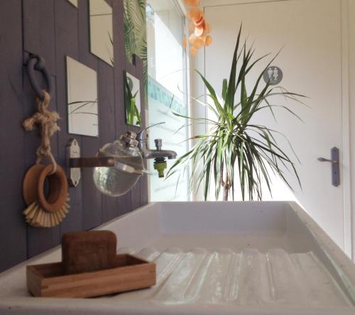 Peyrat-le-ChâteauCabane Escargot du centre UnisVers的一间带浴缸的浴室,里面装有植物